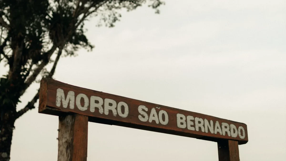 Gerenciando o tédio e as birras na natureza | Melissa Carvalho Autora Gerenciando o tédio e as birras na natureza